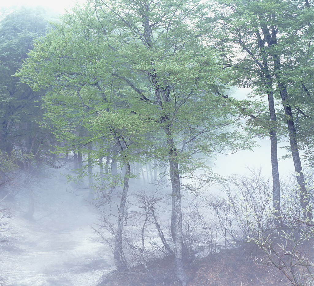 02-5-13-隠居池
