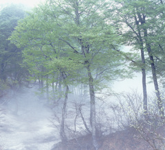02-5-13-隠居池