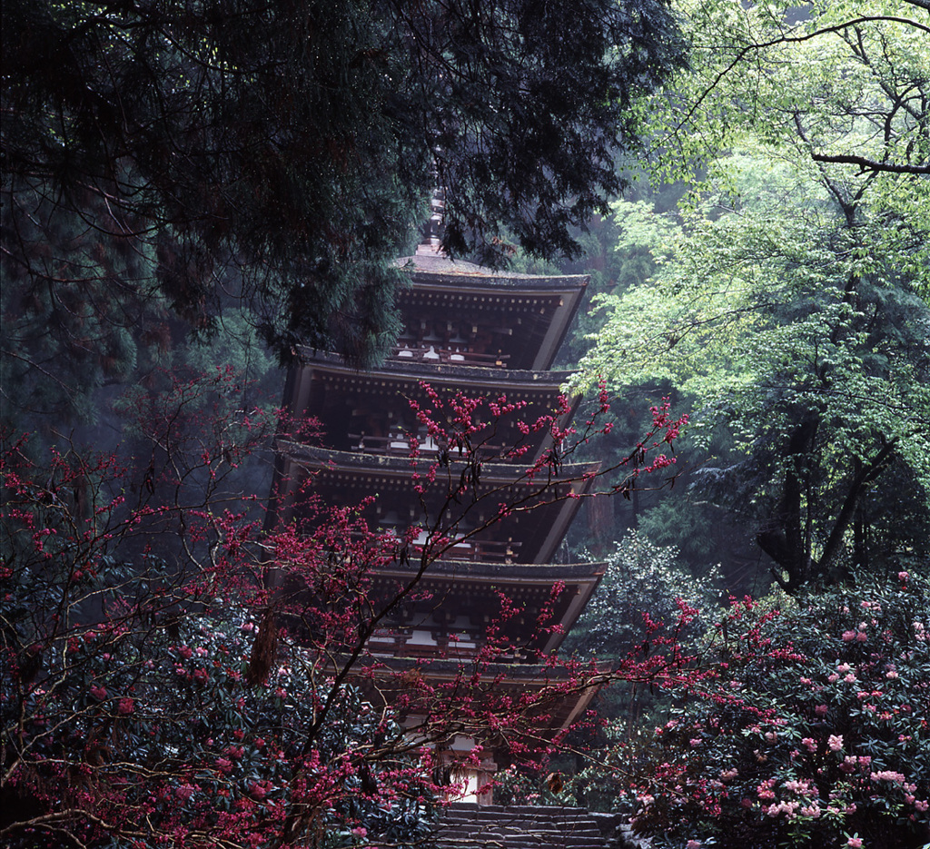 緑と花の塔