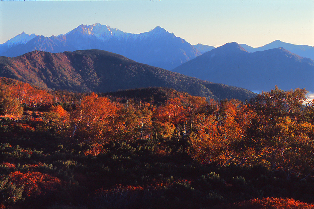 紅葉の朝2