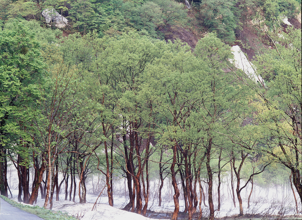 01-5-22-鎌池