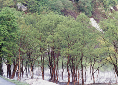 01-5-22-鎌池