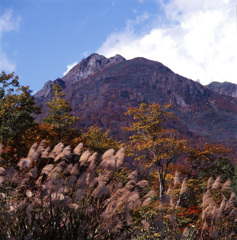 97-10-14雨飾り山