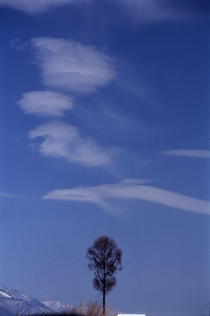 雲