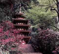 室生寺