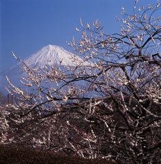 02-3-4-岩本山