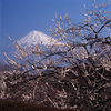 02-3-4-岩本山