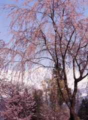 04-4-20-大出