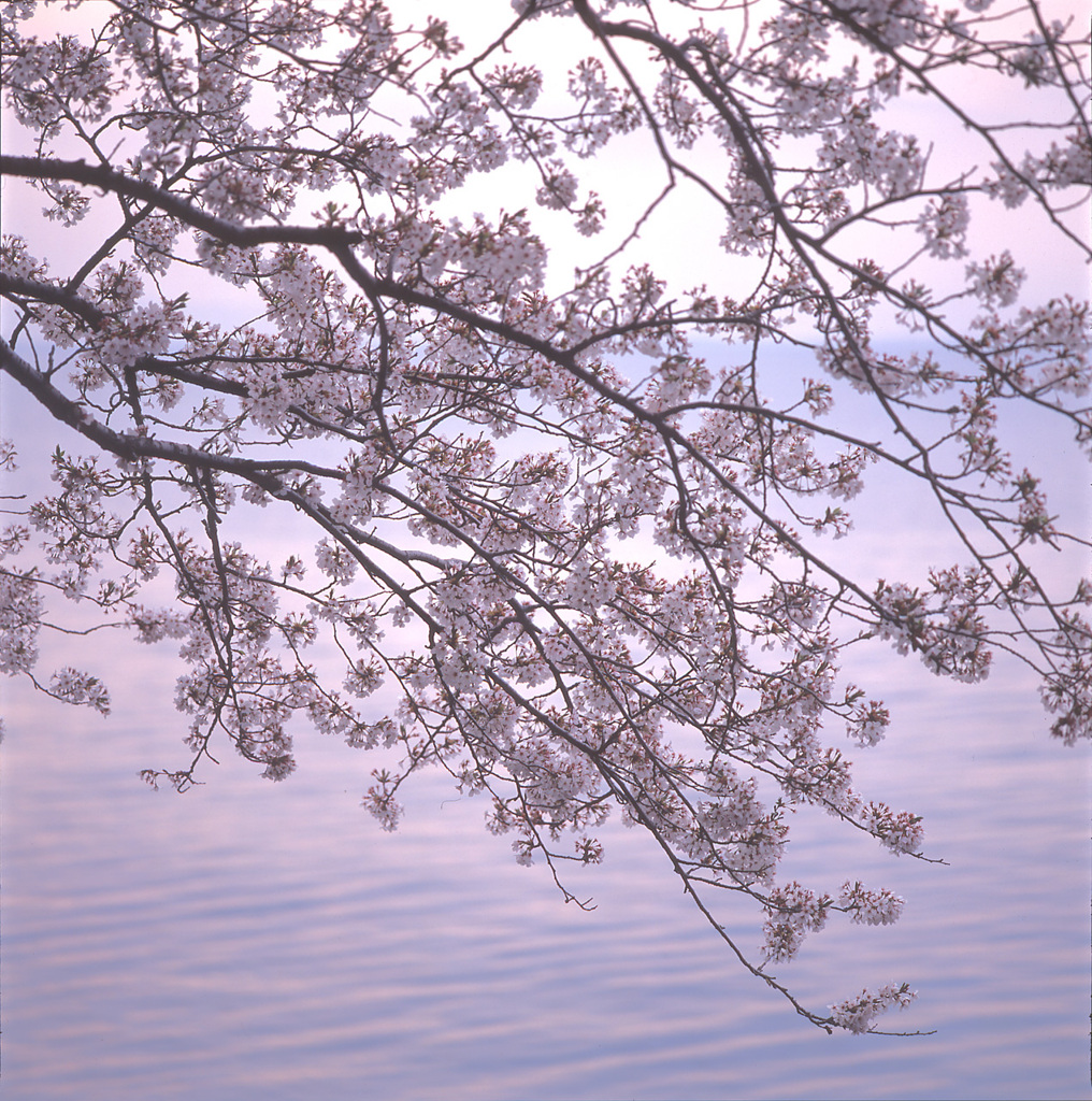 01-4-12-琵琶湖