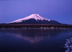 00-1-初旬　山中湖3