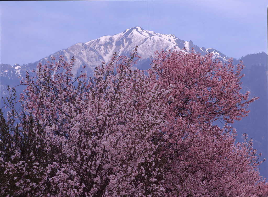 98-5-6松川村
