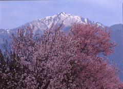 98-5-6松川村