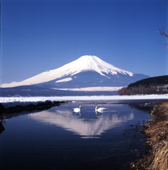 01-2-16-山中湖