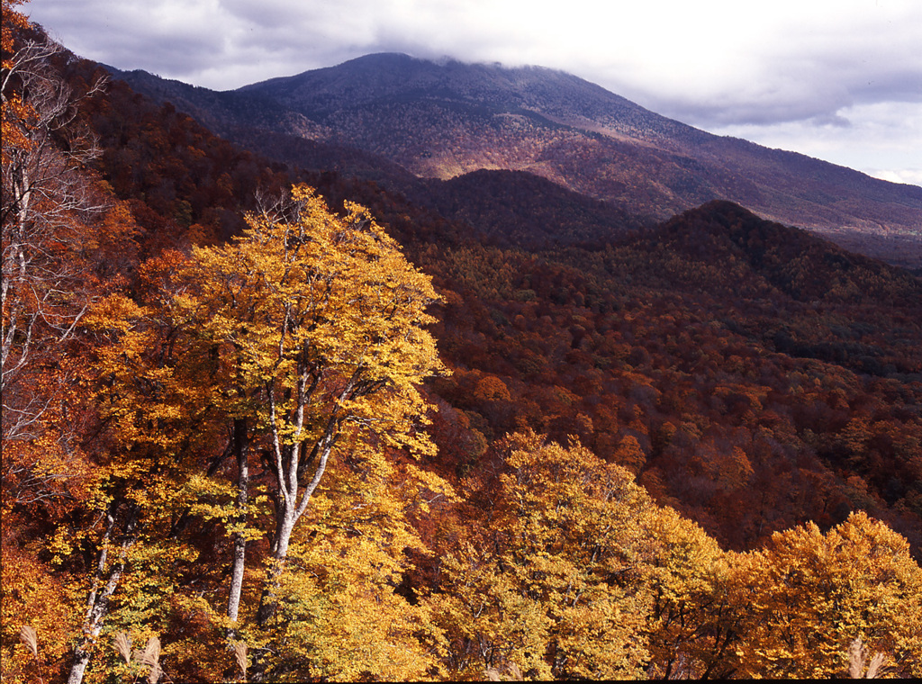 03-10-14-小谷妙高林道