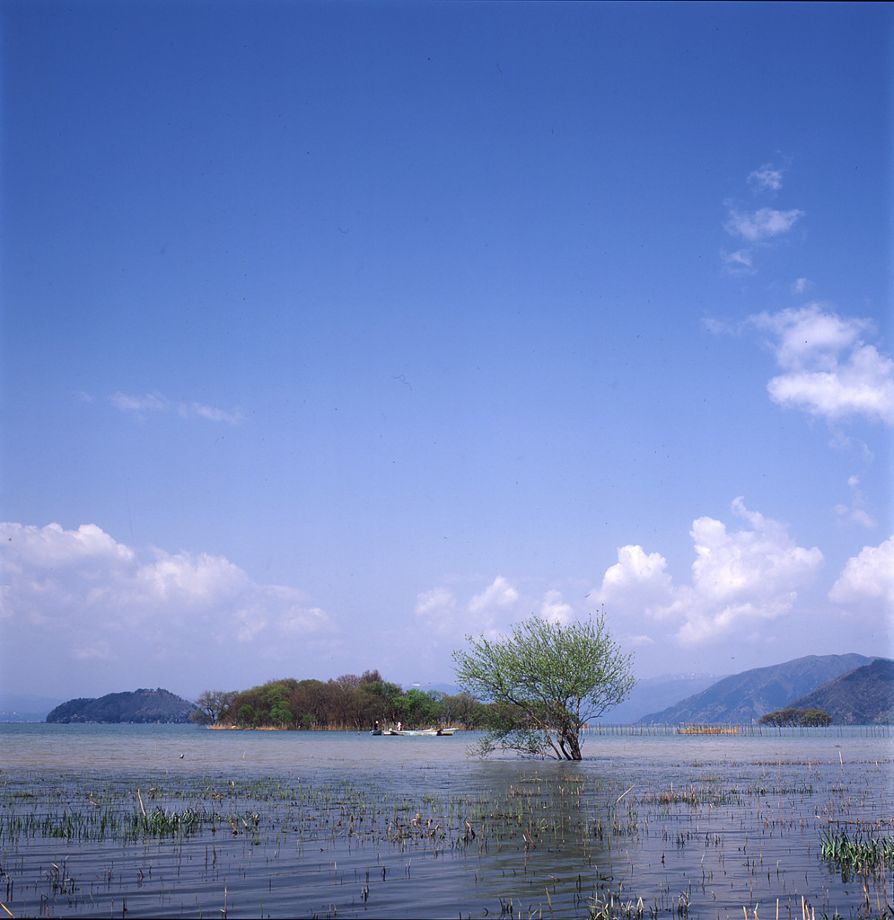 00-4-中旬琵琶湖
