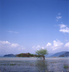 00-4-中旬琵琶湖
