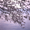 01-4-12-琵琶湖