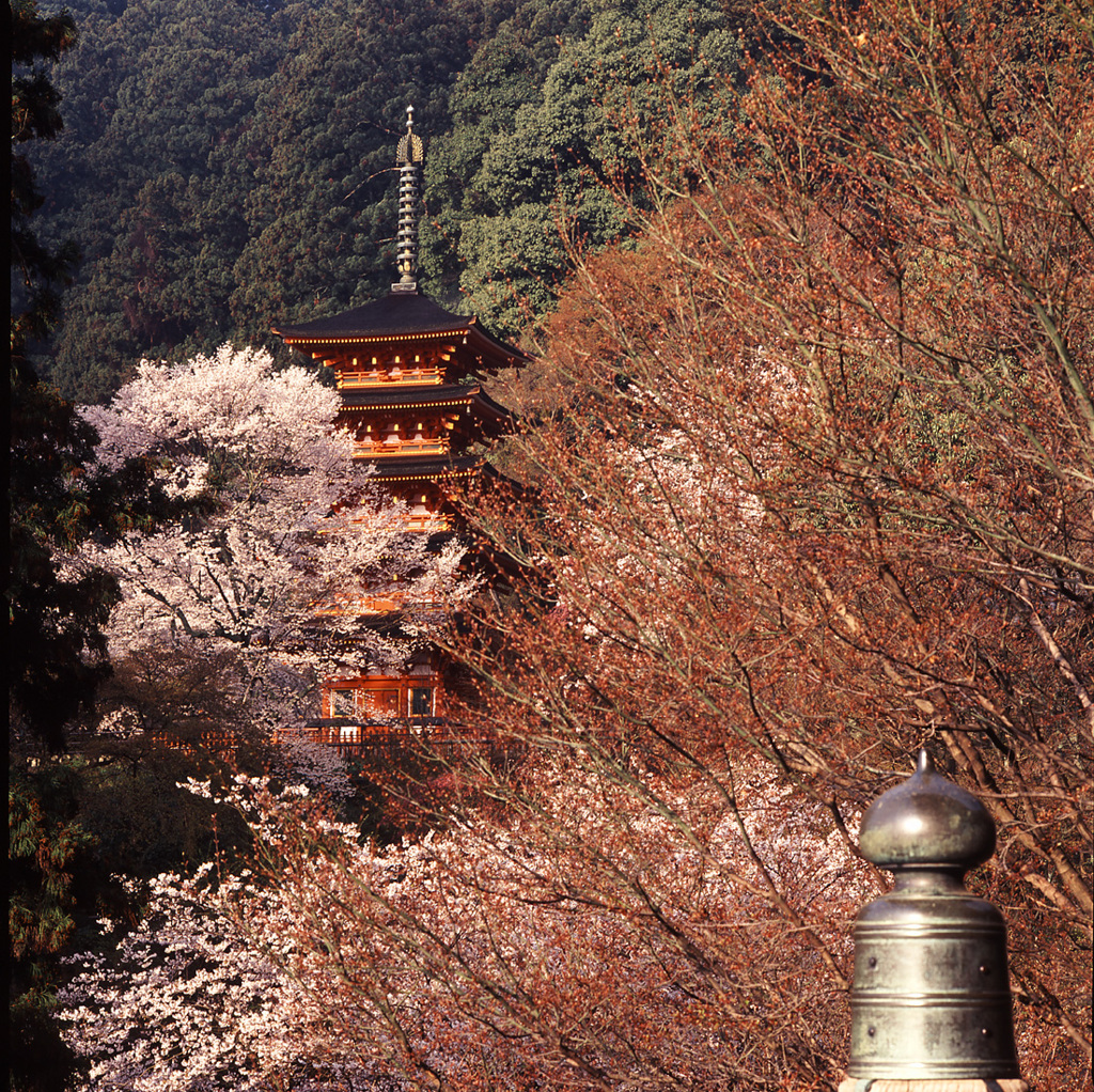 盛春 2