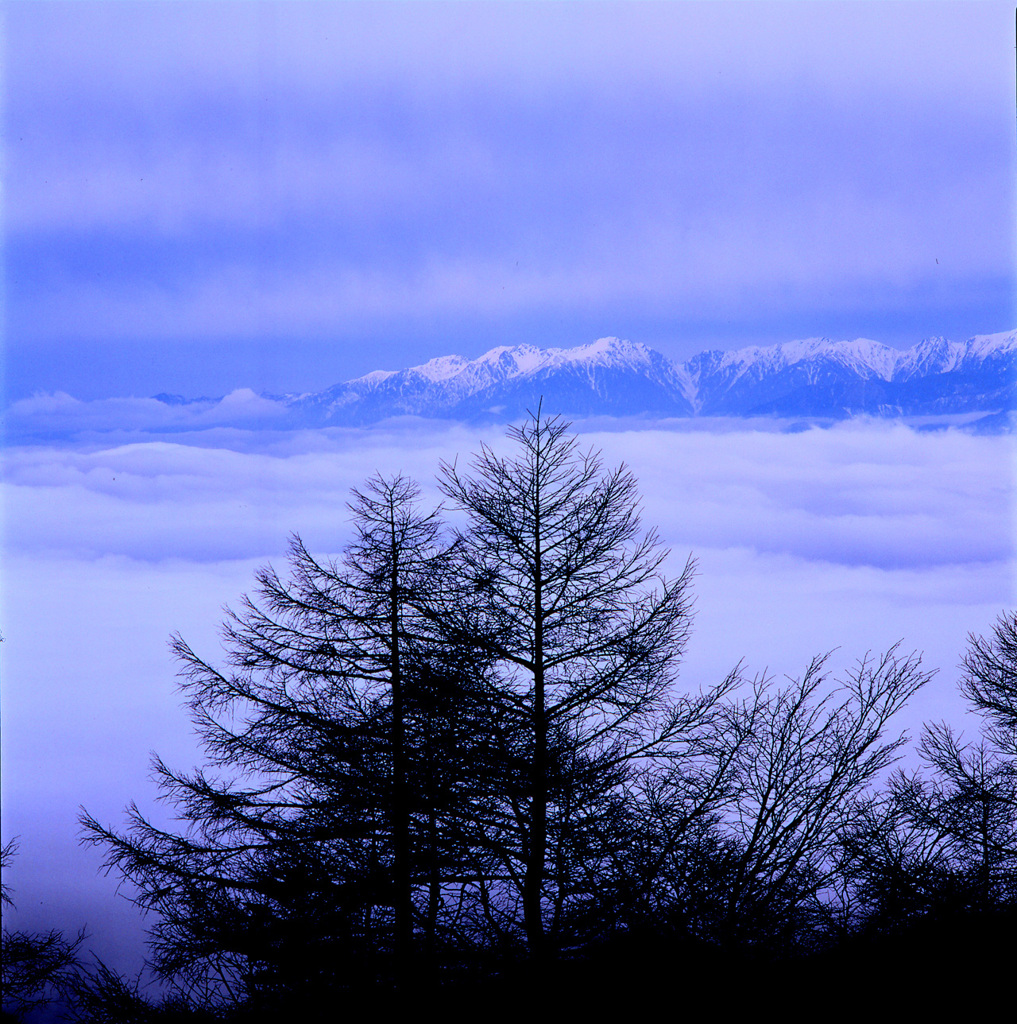 雲海