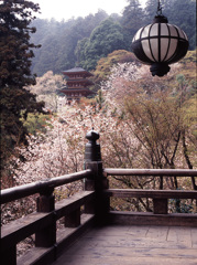 2005-4-12-長谷寺