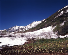 2008-6-10　栂池