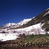 2008-6-10　栂池