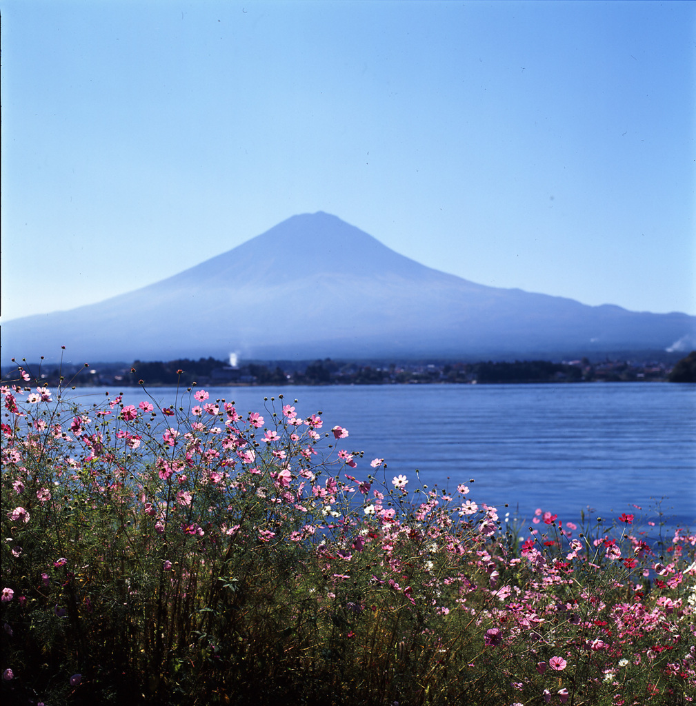 01-10-19河口湖