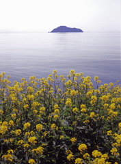 09-4-8-菅浦