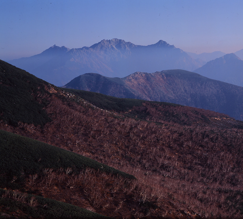 冬支度の山