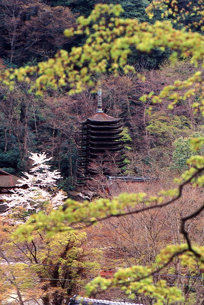 浅春の塔