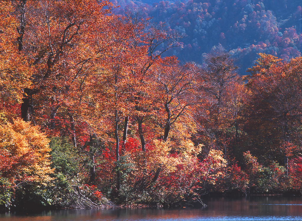 2001-10-17-鎌池
