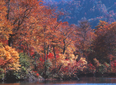 2001-10-17-鎌池
