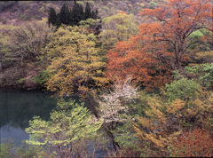 04-4-26-山形小国町