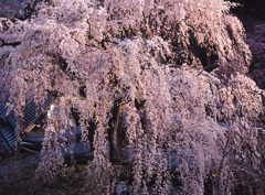 2005-4-5-久遠寺