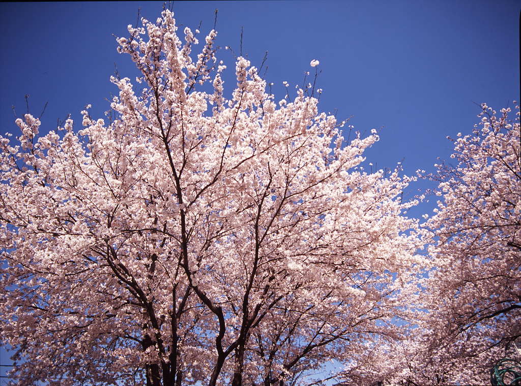 04-4-19-松川村