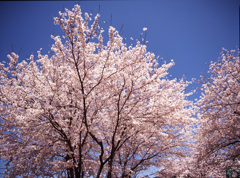 04-4-19-松川村