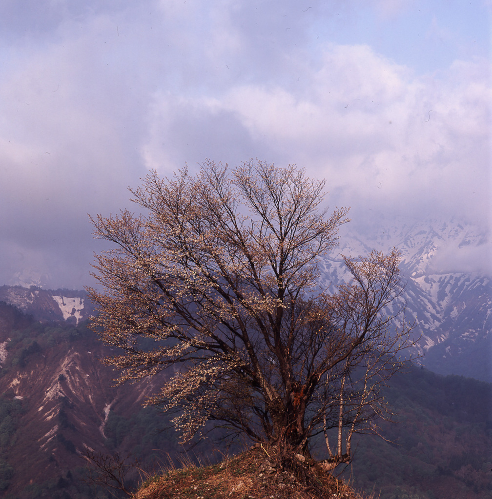 04-4-30-樽口峠