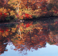 鎌池朝の光3