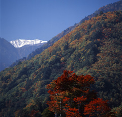 02-10-10-大町.