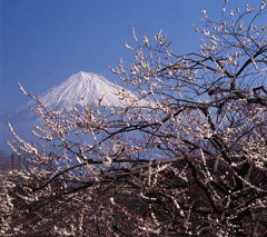 02-3-4-岩本山