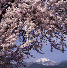 98-5-6松川村