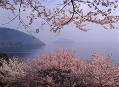 03-4-15-海津大崎