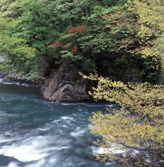 98-5-15日義村19号線