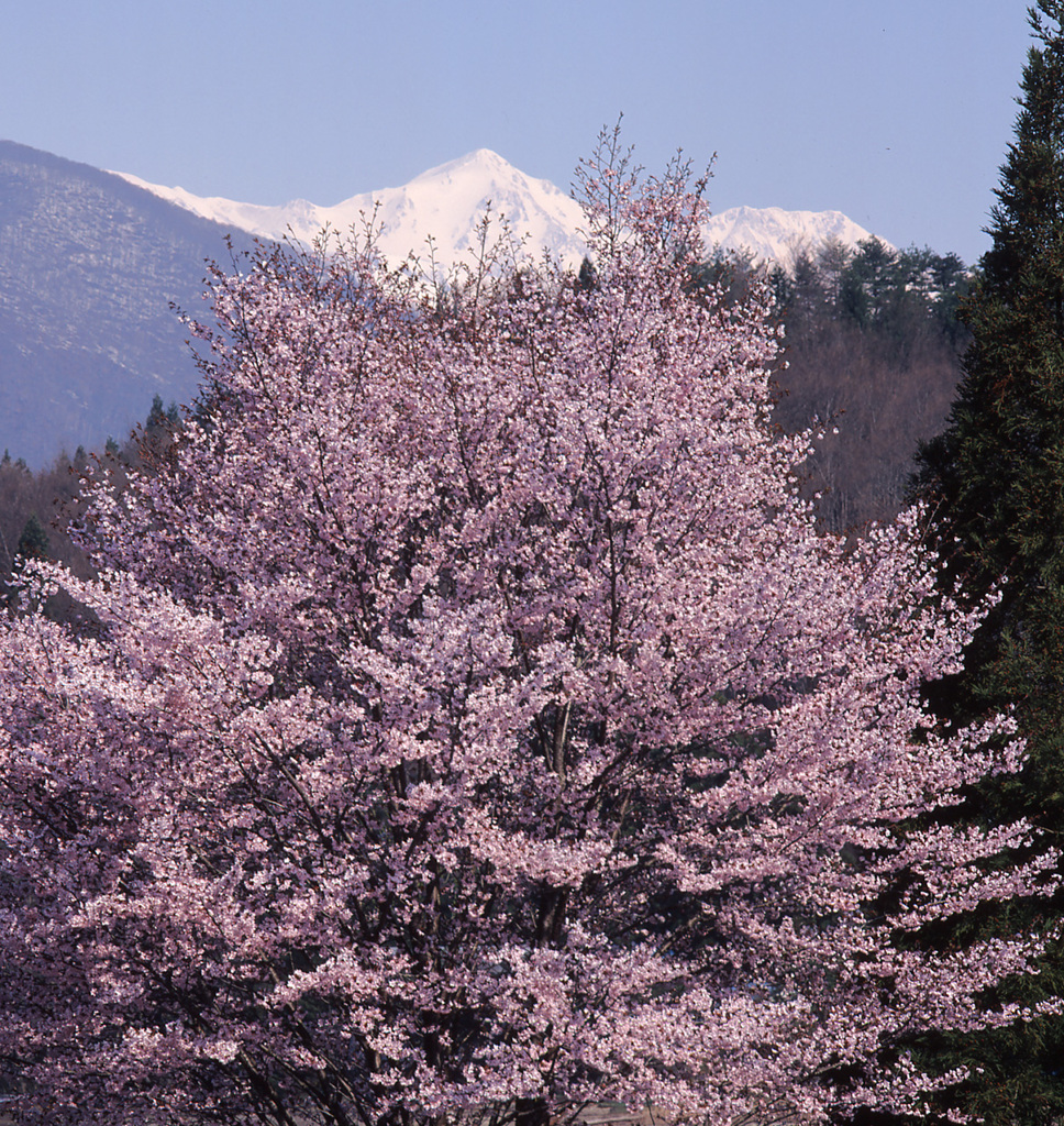 03-5-14青木湖.