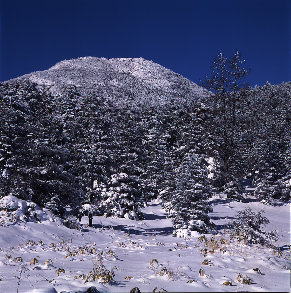 大雪の朝