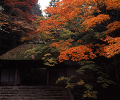 00-11-30-法然院
