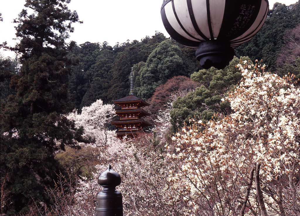 04-4-8-長谷寺