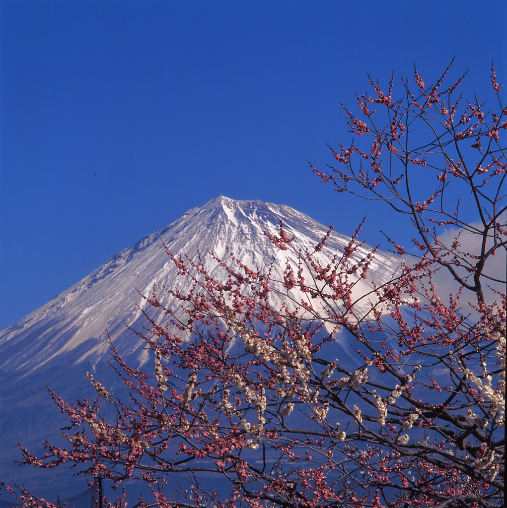 00-3-初旬-岩本山