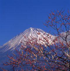 00-3-初旬-岩本山