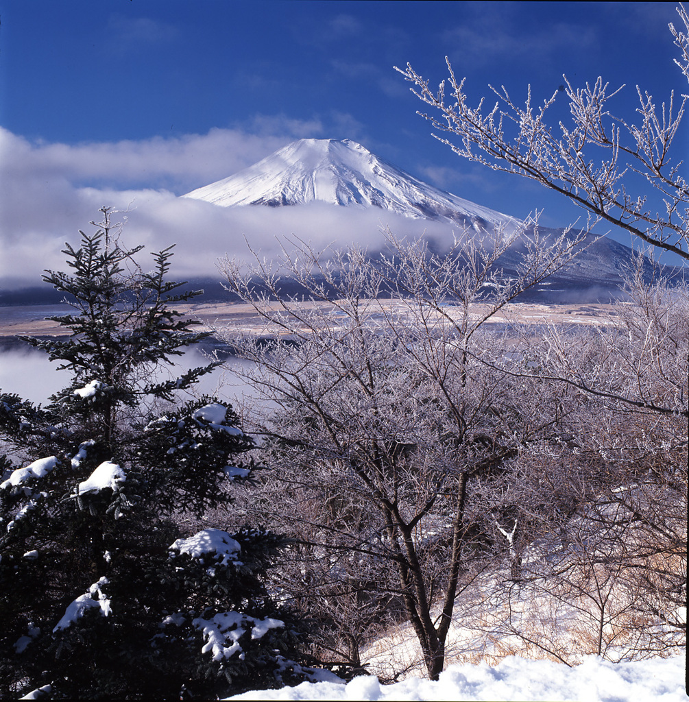 01-1-29-マウント富士